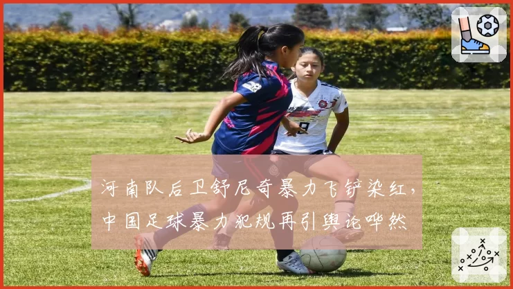 河南队后卫舒尼奇暴力飞铲染红,中国足球暴力犯规再引舆论哗然