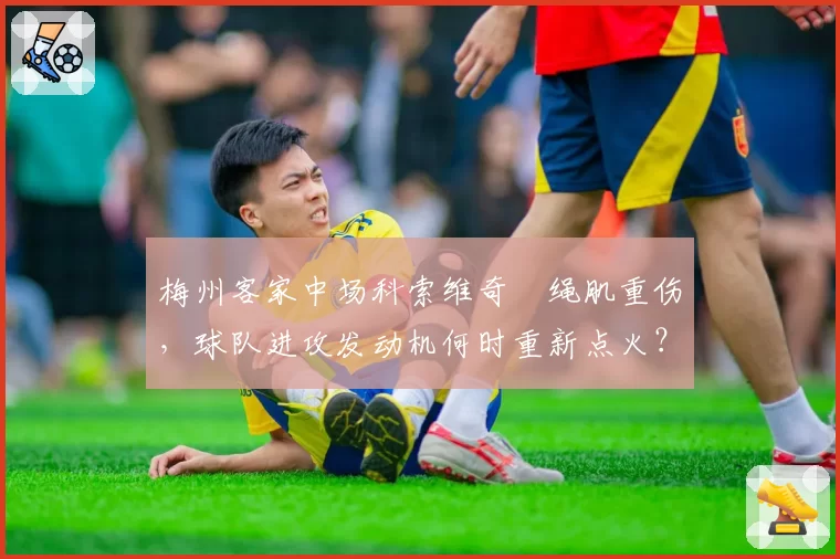 梅州客家中场科索维奇腘绳肌重伤,球队进攻发动机何时重新点火?