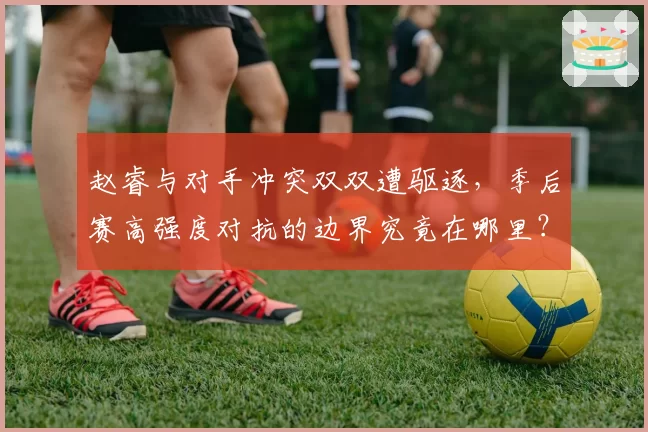 赵睿与对手冲突双双遭驱逐，季后赛高强度对抗的边界究竟在哪里？